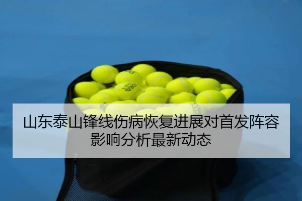 shan-dong-tai-shan-feng-xian-shang-bing-hui-fu-jin-zhan-dui-shou-fa-zhen-rong-ying-xiang-fen-xi-zui-xin-dong-tai-2-519.jpg